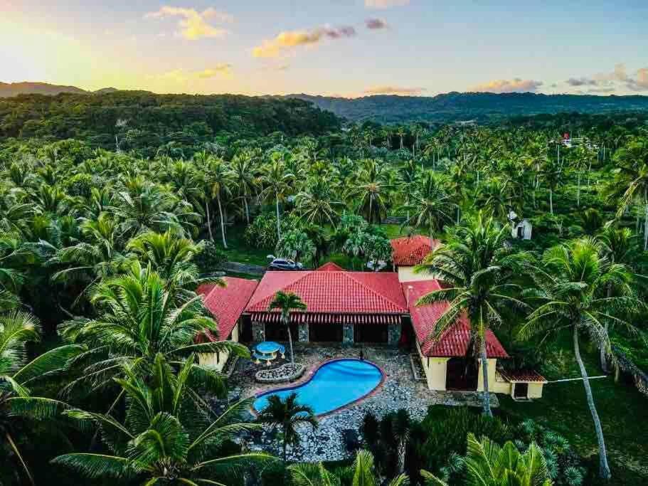 Palm House - Luxury Villa - Samana - Ocean Front Sanchez Exterior photo