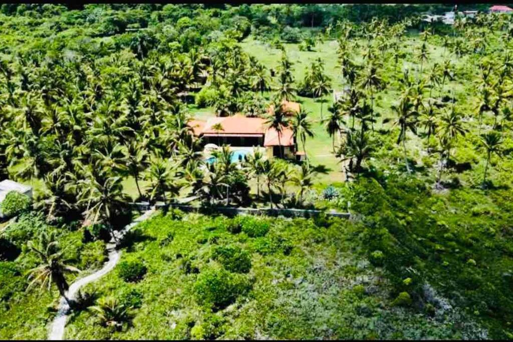 Palm House - Luxury Villa - Samana - Ocean Front Sanchez Exterior photo