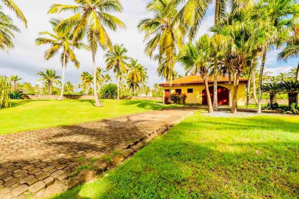 Palm House - Luxury Villa - Samana - Ocean Front Sanchez Exterior photo