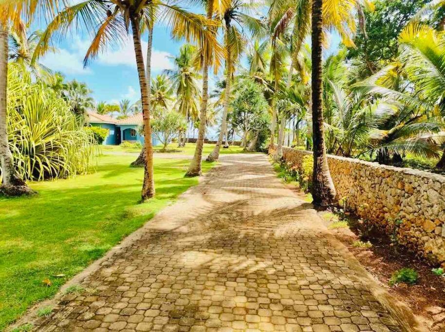 Palm House - Luxury Villa - Samana - Ocean Front Sanchez Exterior photo