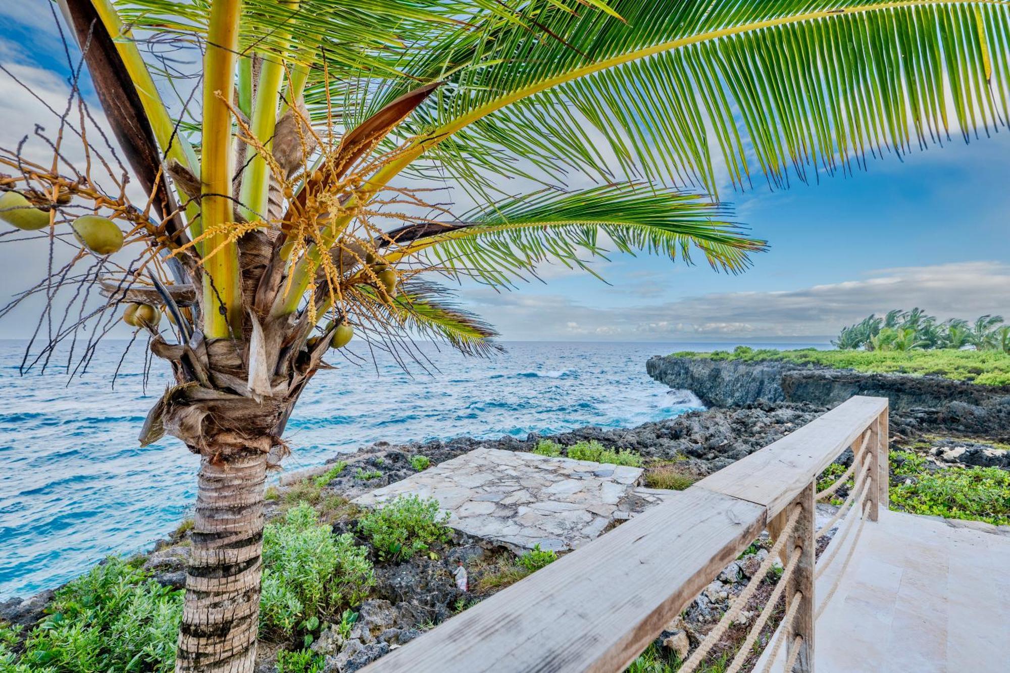 Palm House - Luxury Villa - Samana - Ocean Front Sanchez Exterior photo
