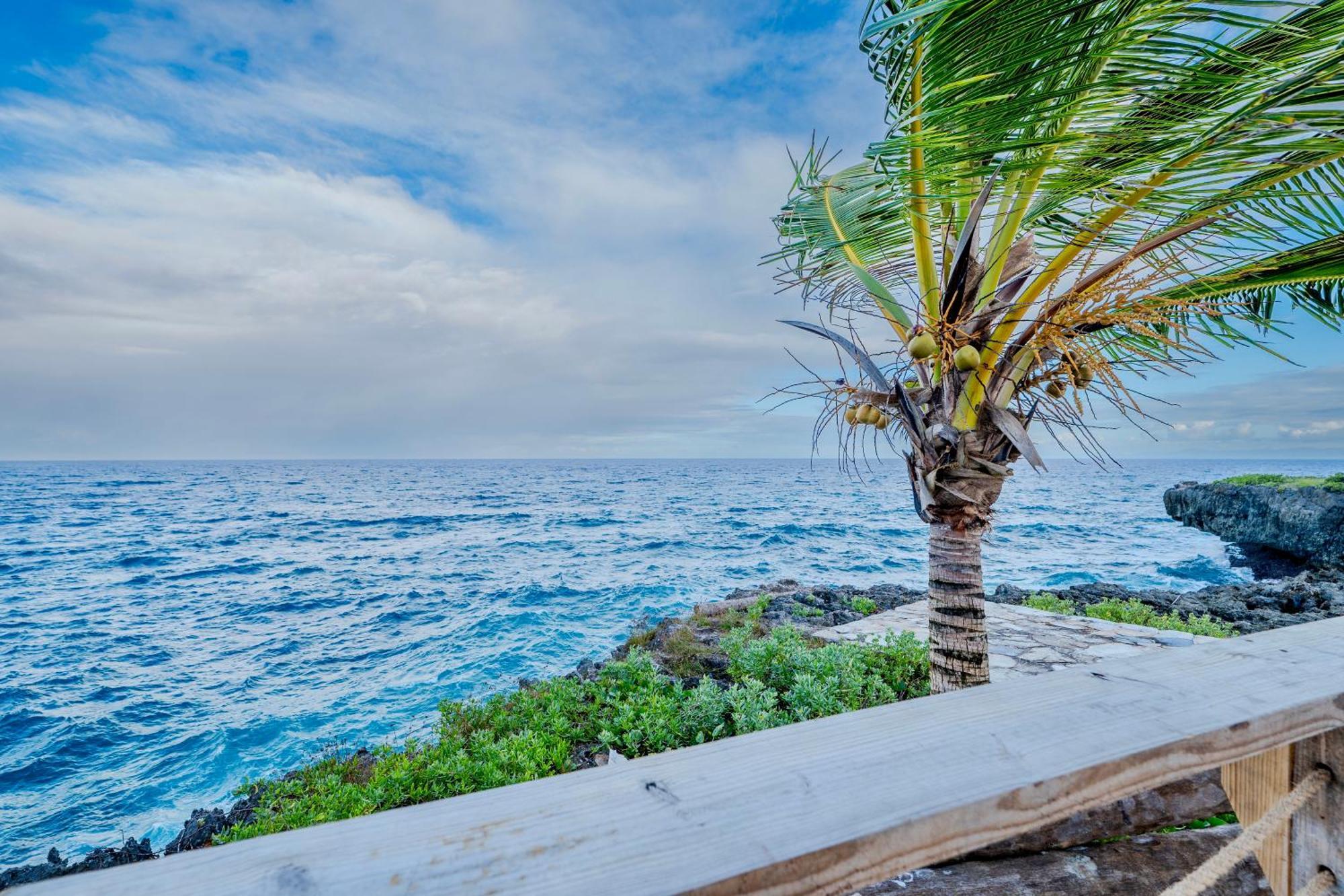 Palm House - Luxury Villa - Samana - Ocean Front Sanchez Exterior photo