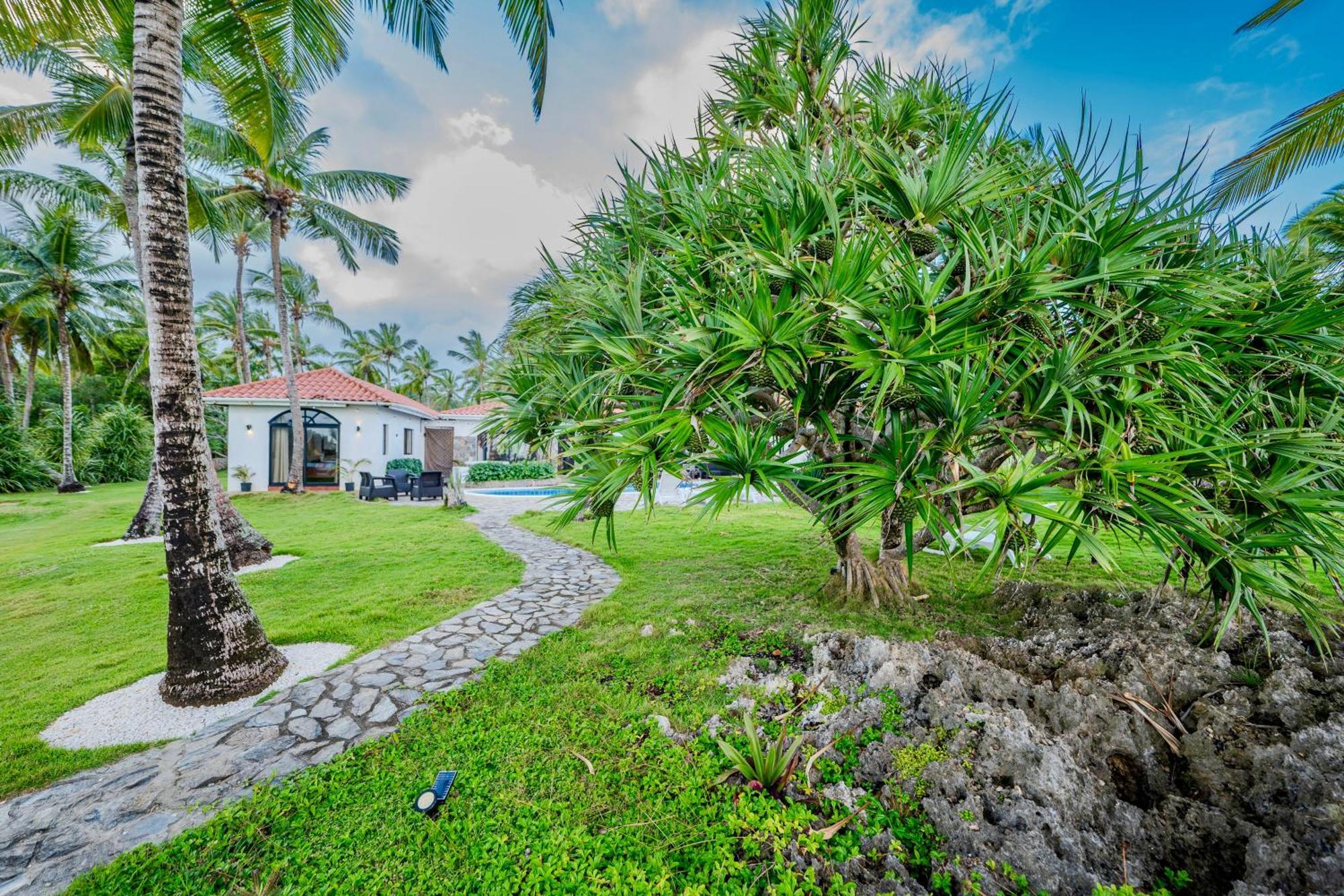 Palm House - Luxury Villa - Samana - Ocean Front Sanchez Exterior photo
